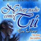 No Hay Nadie Como Tu